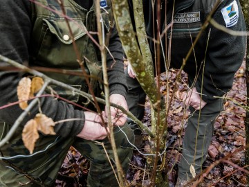 Patrol Strażników Przedborskiego Parku Krajobrazowego z Państwową Strażą Łowiecką, 